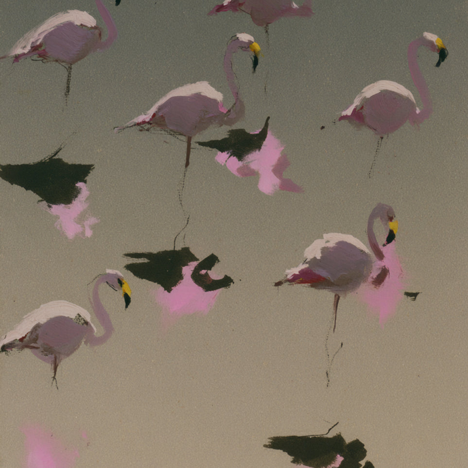 Flamingos in still water