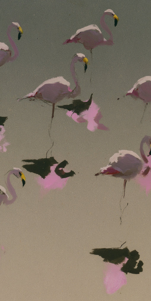 Flamingos in still water