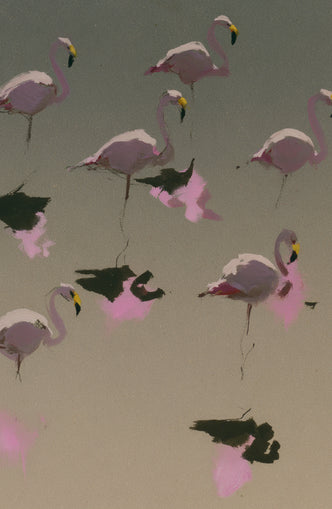 Flamingos in still water