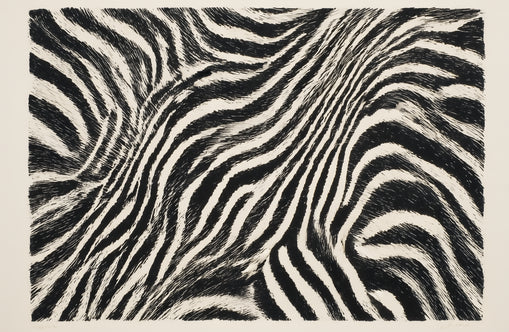 Zebra stripes across the frame