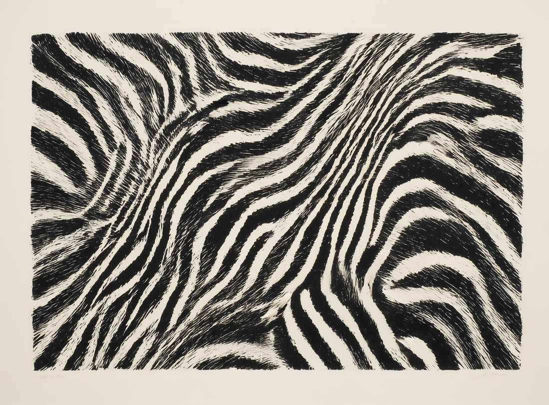 Zebra stripes across the frame