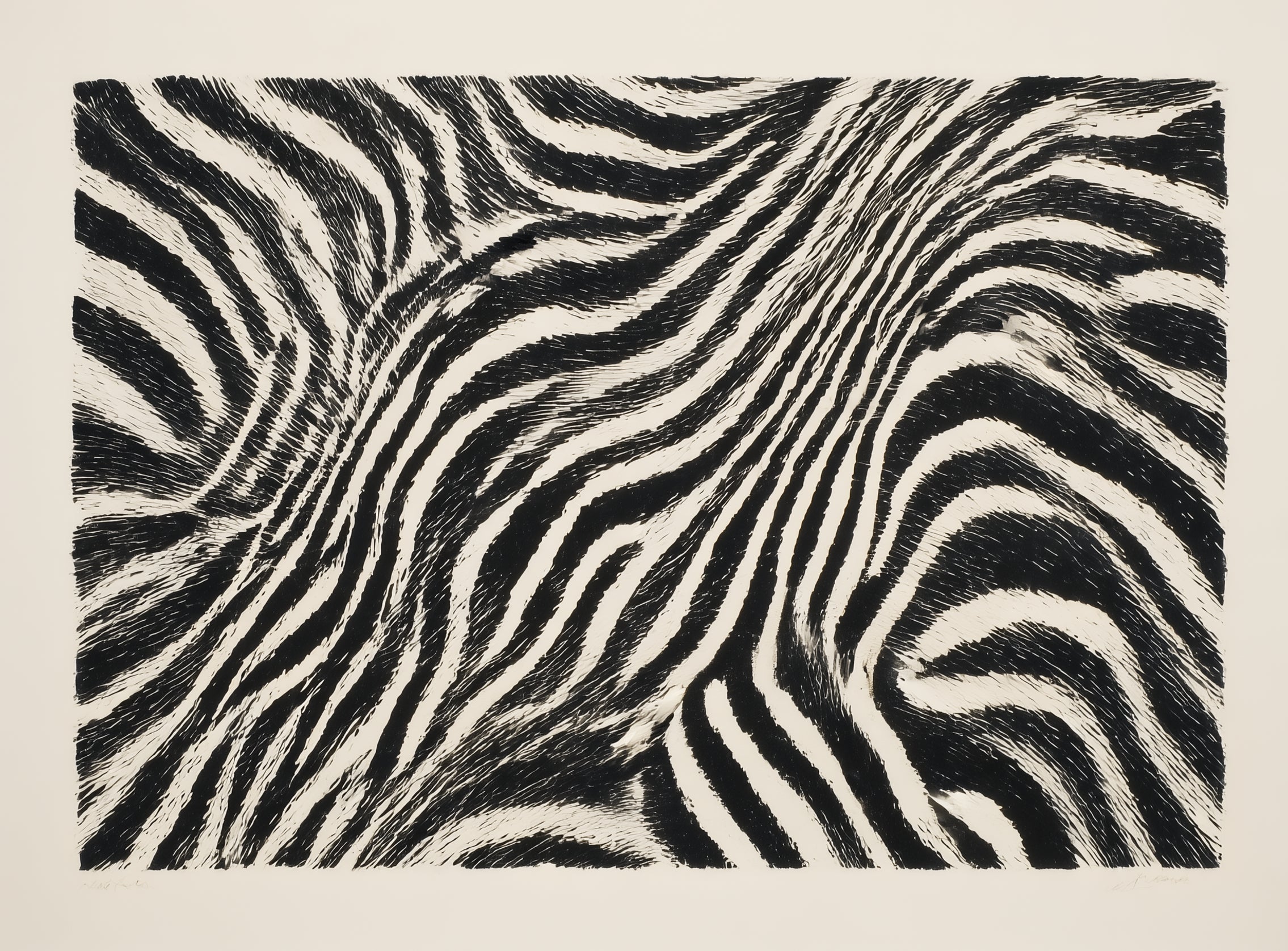 Zebra stripes across the frame