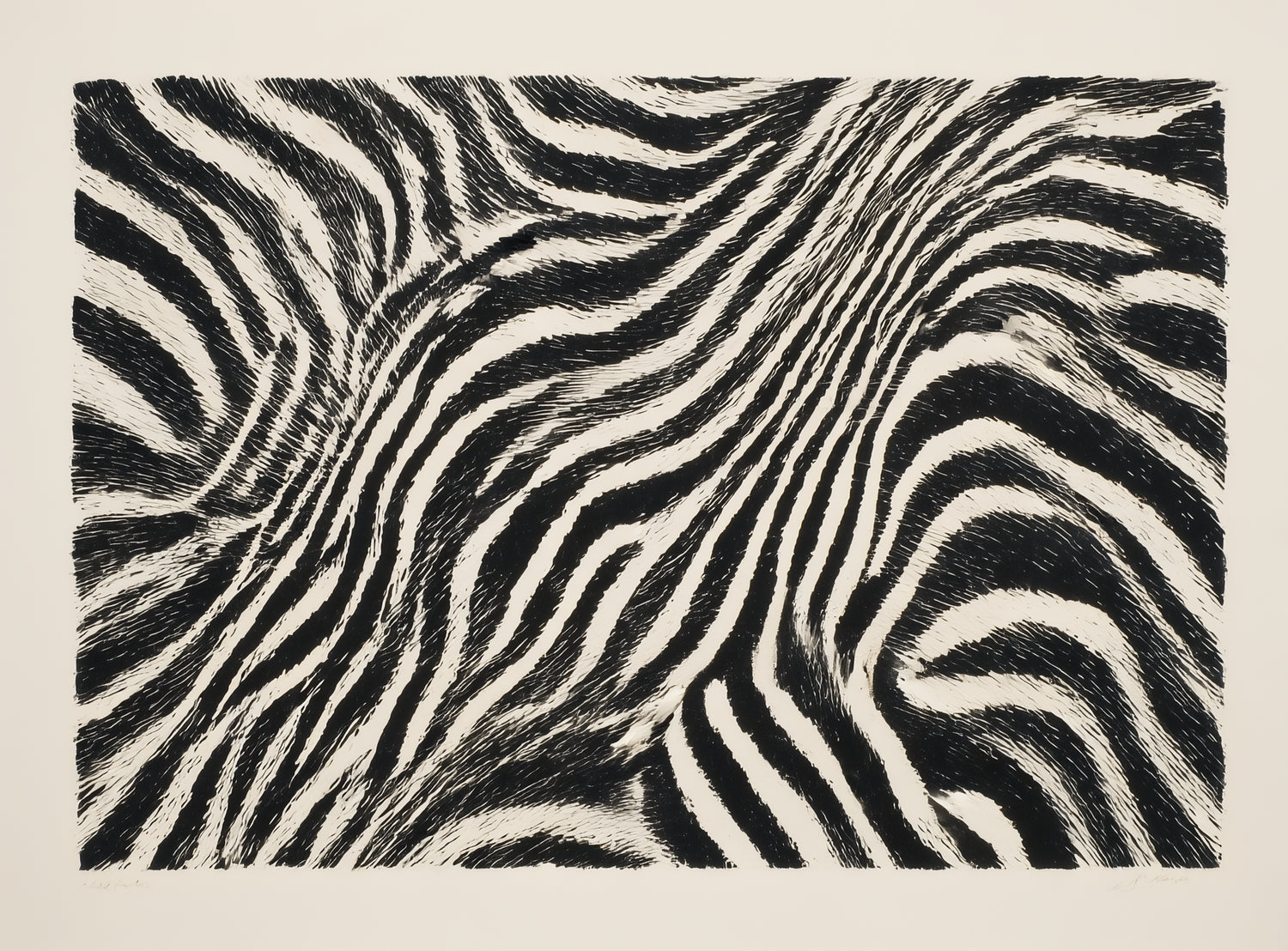 Zebra stripes across the frame