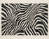Zebra stripes across the frame