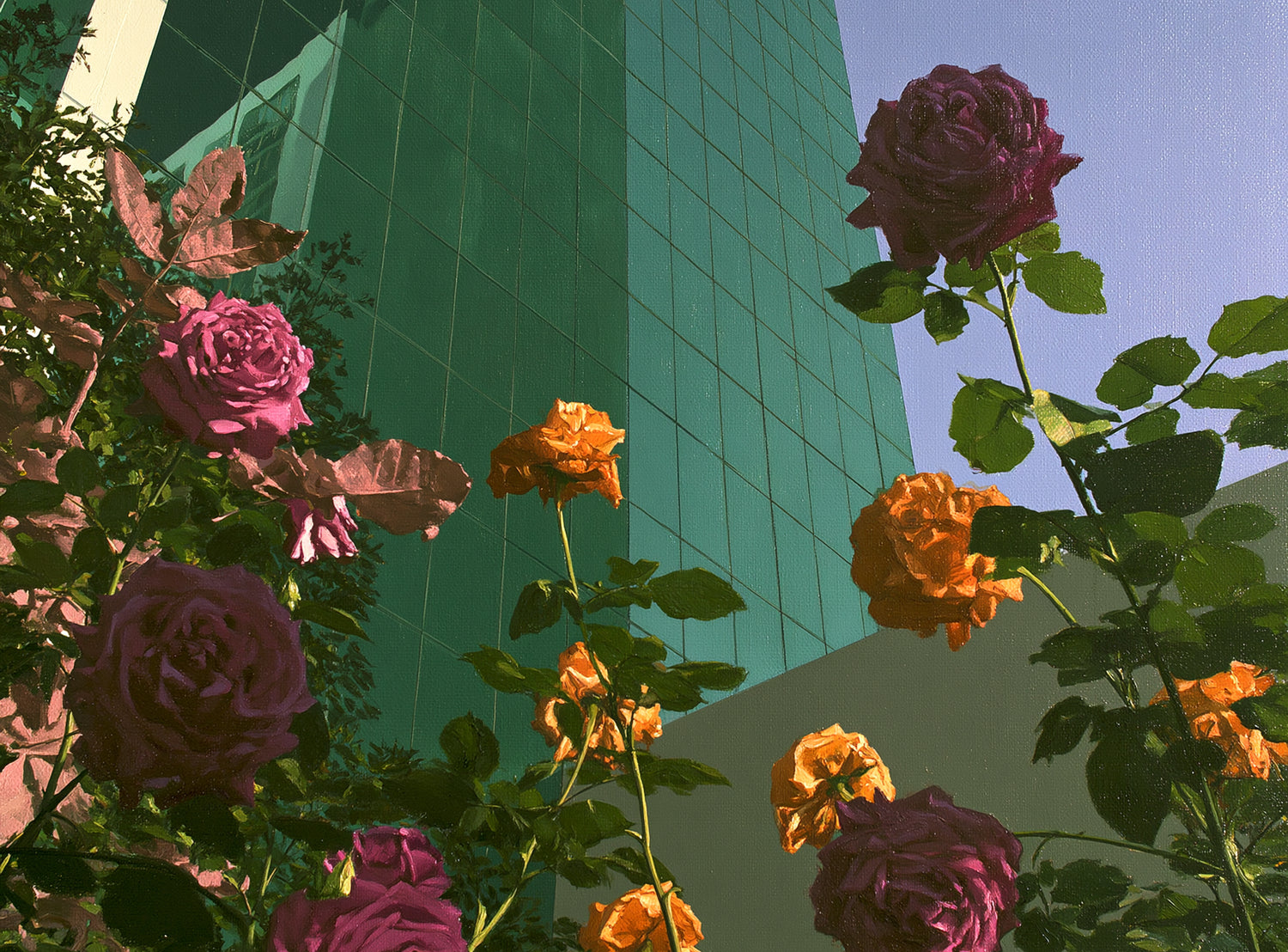 Roses climbing the glass wall