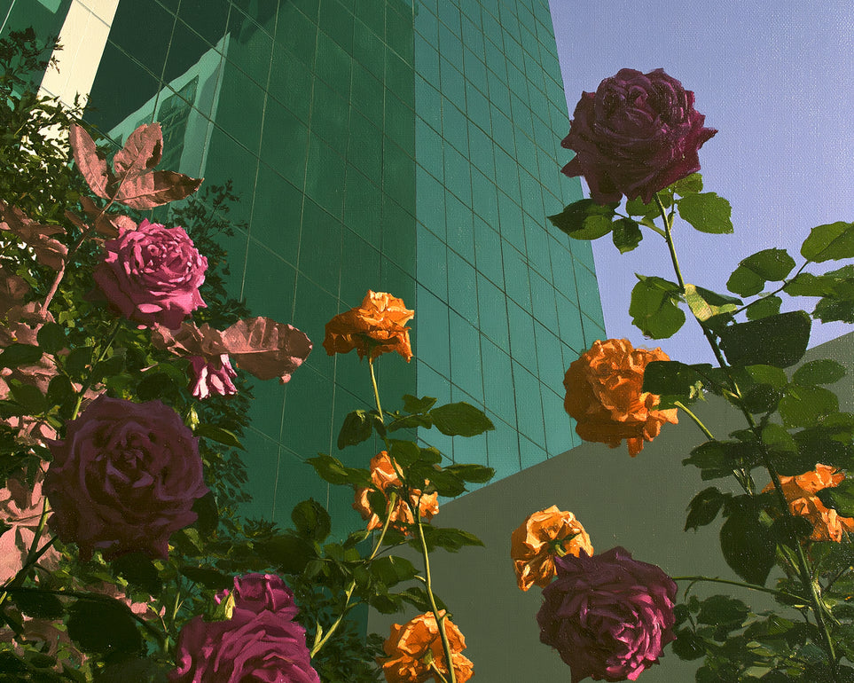 Roses climbing the glass wall