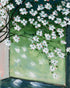Blossoms at the windowpane