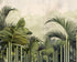 Pale sky over green fronds