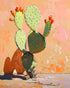 Prickly pear in sunlit plaster