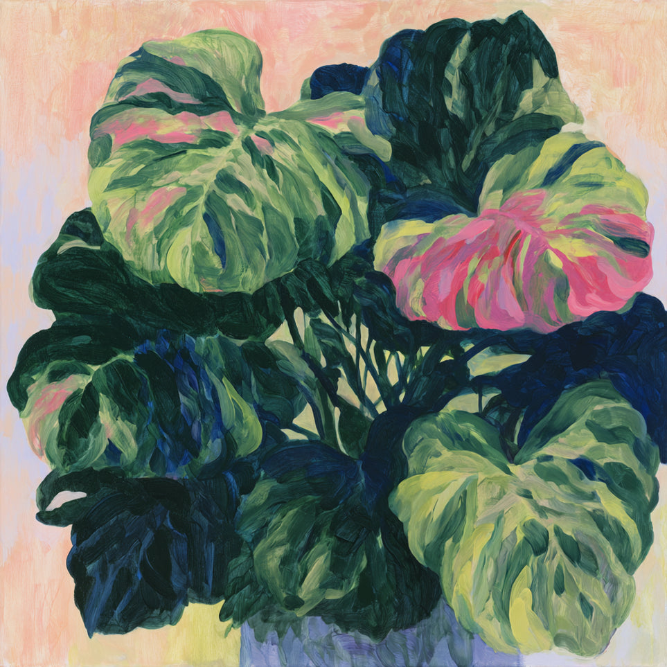 Pink light on green leaves