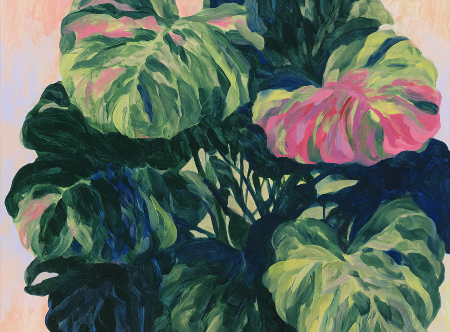Pink light on green leaves