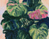 Pink light on green leaves