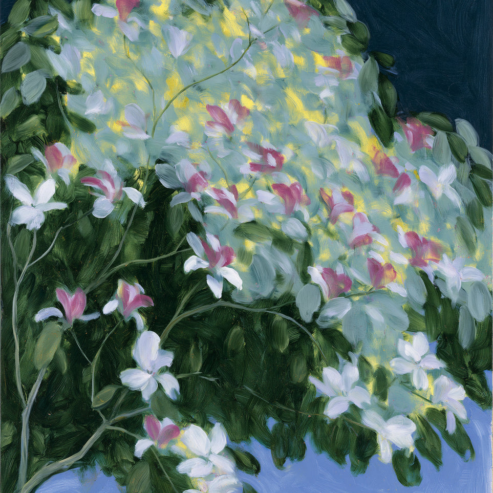 Blossoms across the night sky