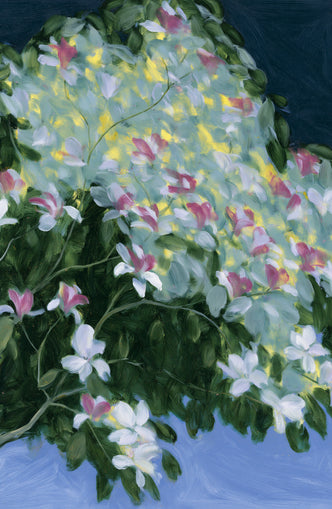Blossoms across the night sky