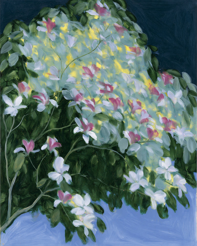 Blossoms across the night sky