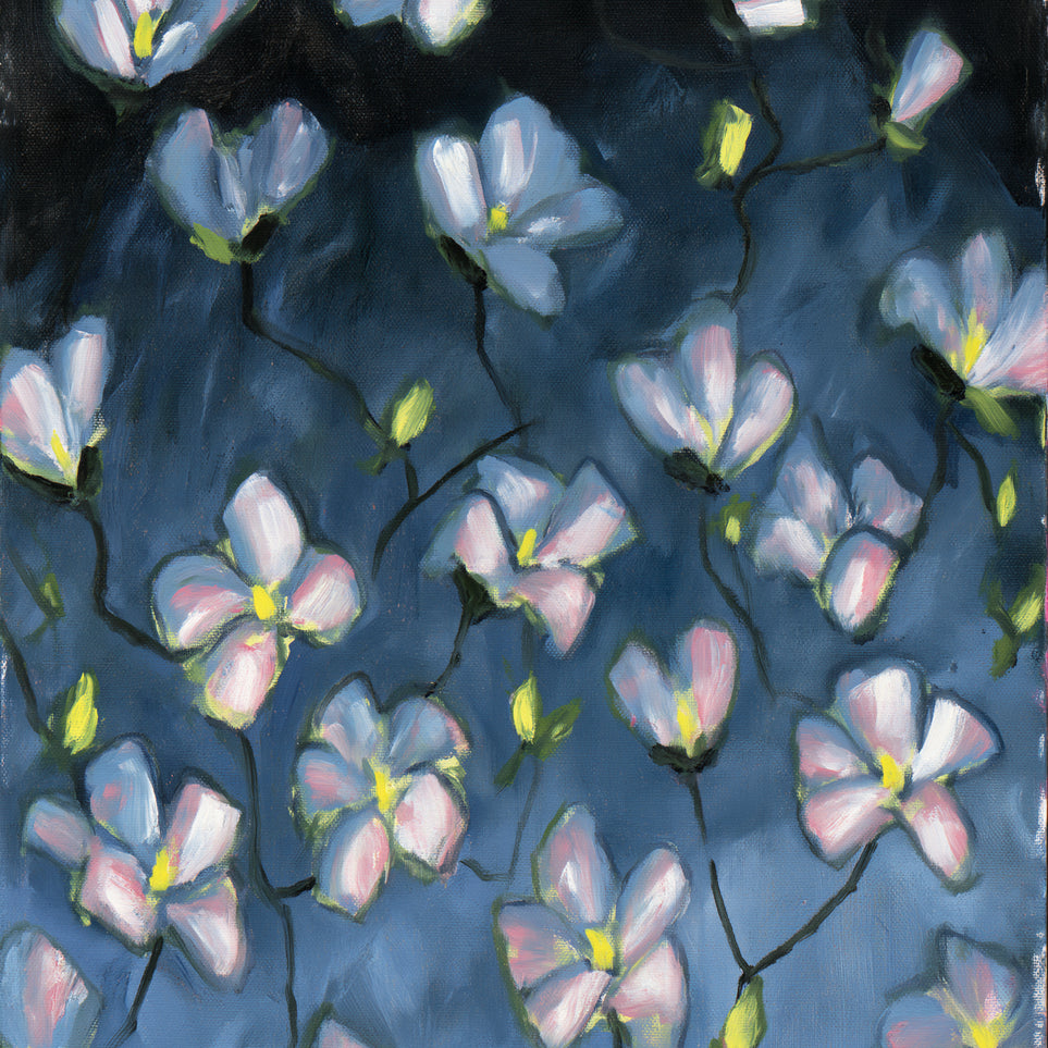 Soft blossoms in blue dusk