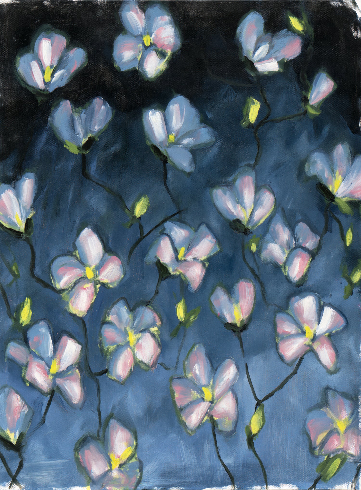 Soft blossoms in blue dusk