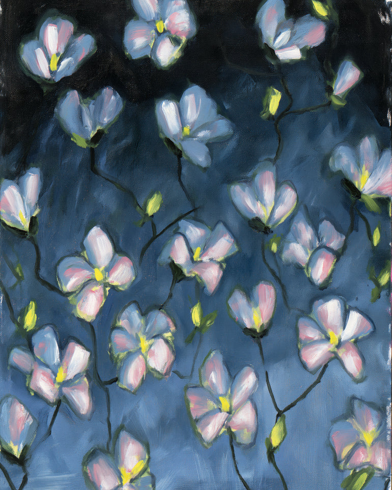 Soft blossoms in blue dusk