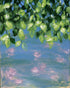 Petals under the leaves