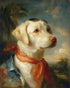 White dog in red scarf