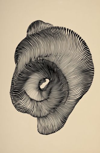 A hollow within black lines