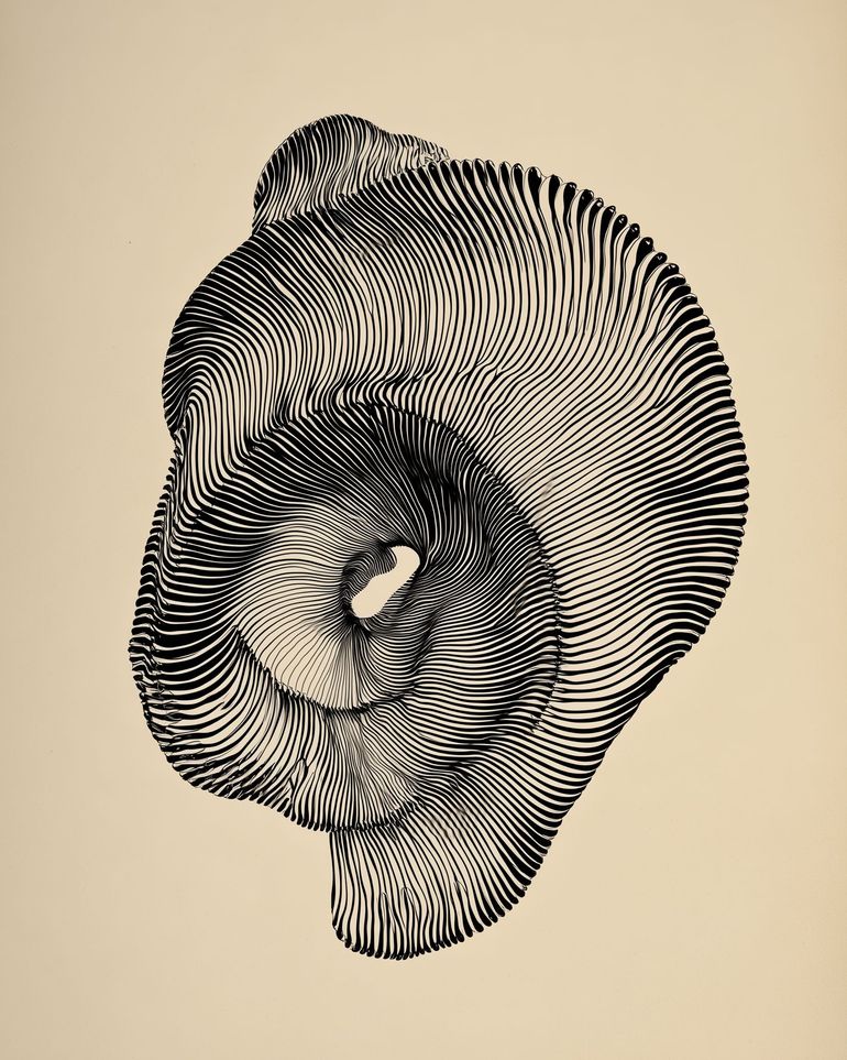 A hollow within black lines