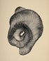 A hollow within black lines