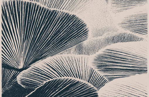 Ink shadows on palm fronds