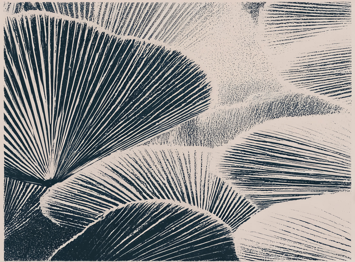 Ink shadows on palm fronds