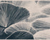 Ink shadows on palm fronds