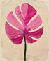 Pink leaf on plaster white