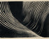 Strain across the curve