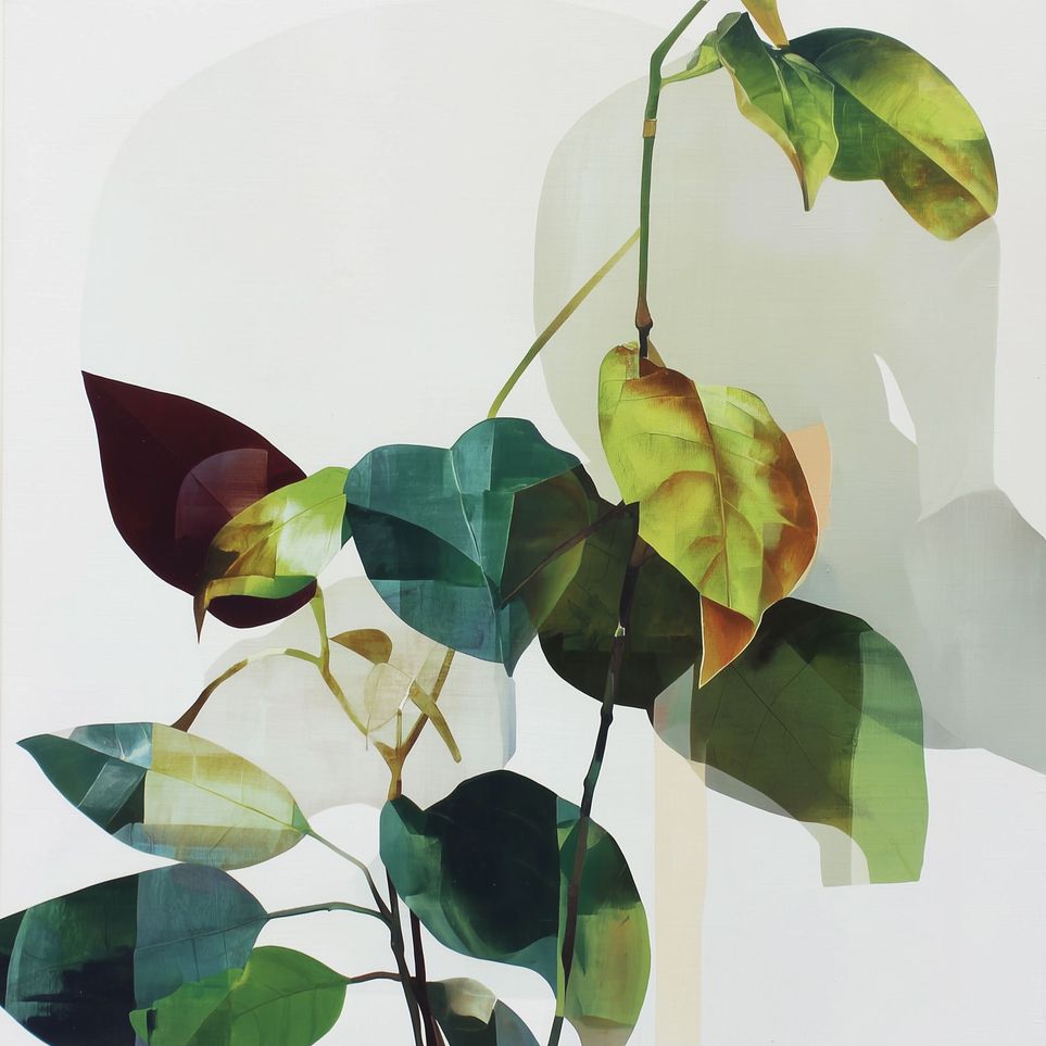 Leaves within pale shadows