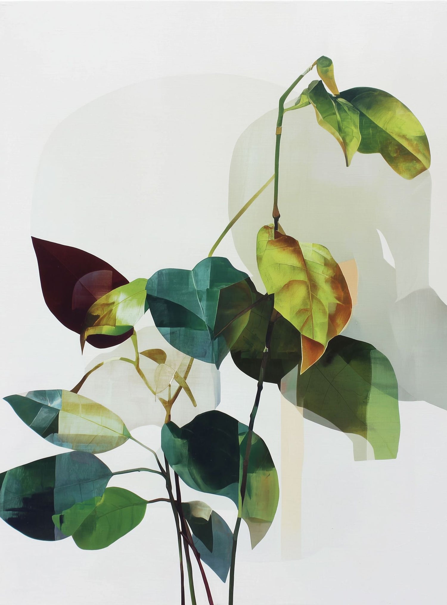 Leaves within pale shadows