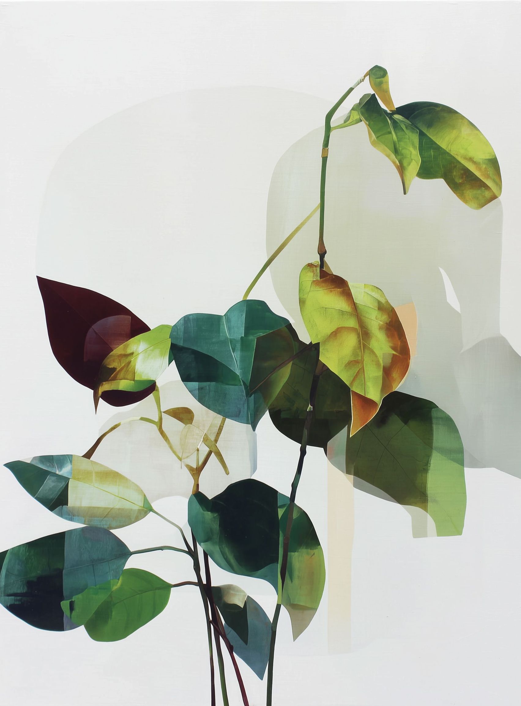 Leaves within pale shadows