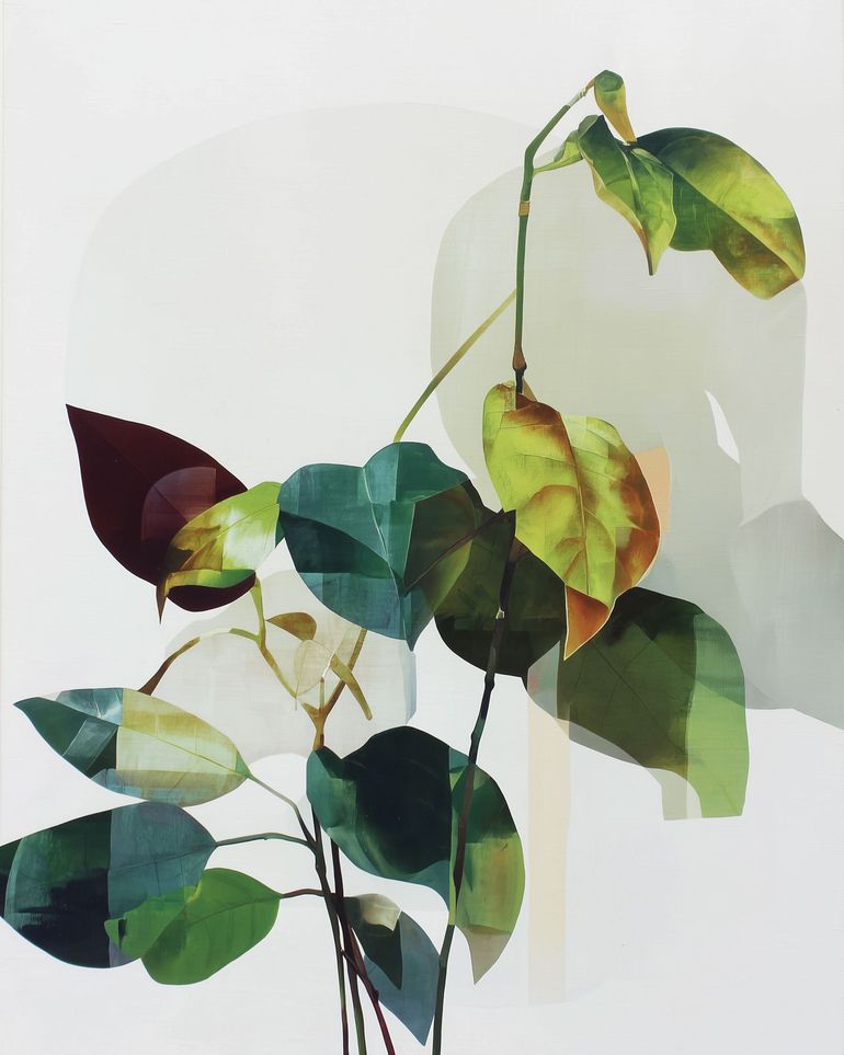 Leaves within pale shadows
