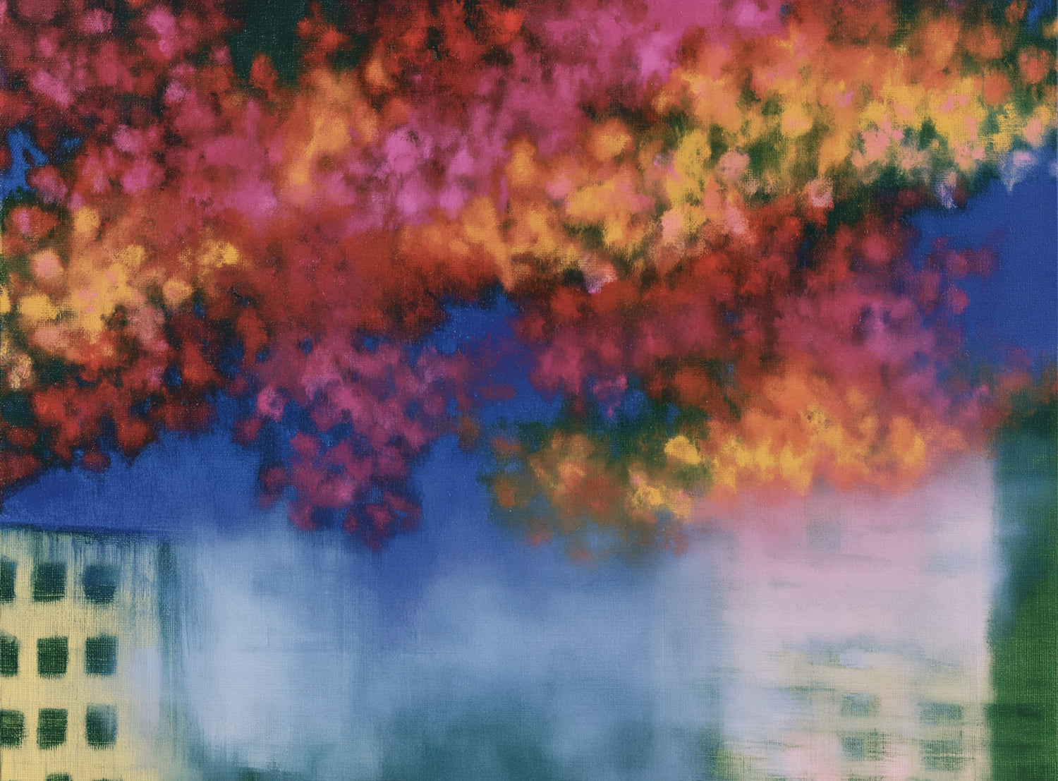 Trees above blurred windows