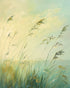 Windbent beach grass sky