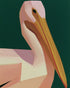 A pelican within green silence