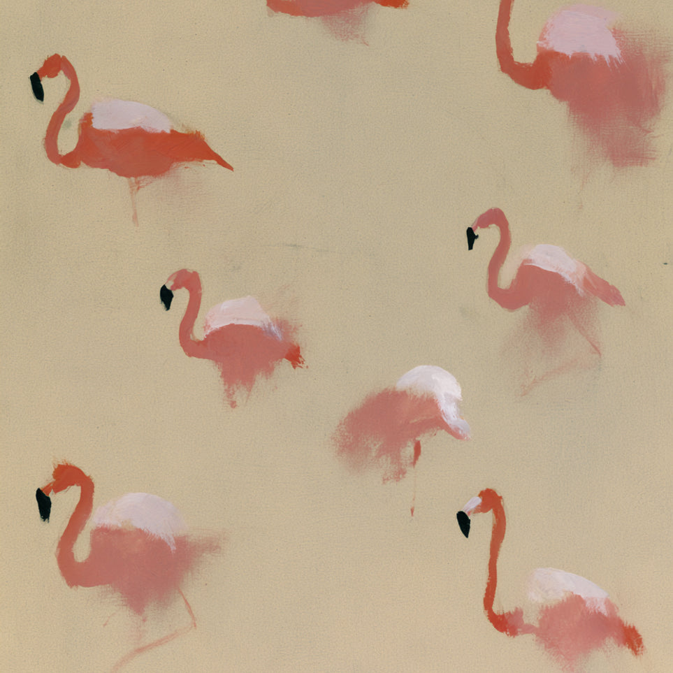 Flamingos in quiet drift