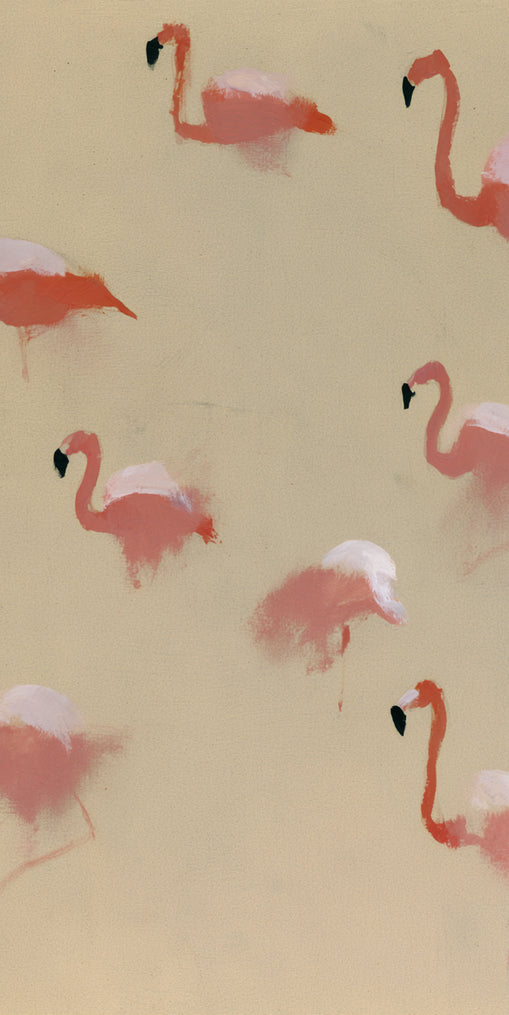 Flamingos in quiet drift