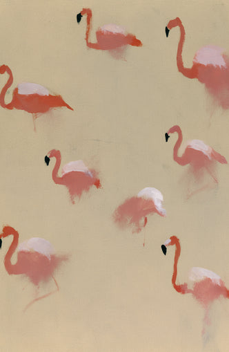 Flamingos in quiet drift