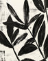 Black leaves on white grain