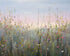 Dreams of Wildflowers