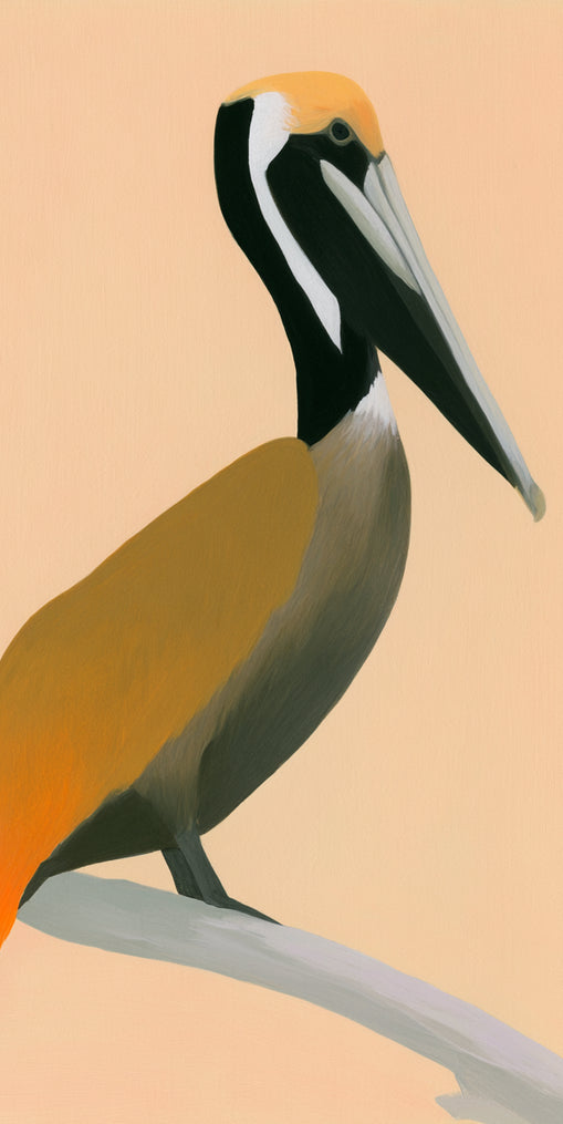 Pelican in peach light
