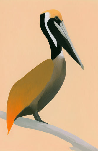 Pelican in peach light