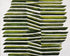 Olive bands with a crease