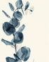 Blue leaves in quiet air