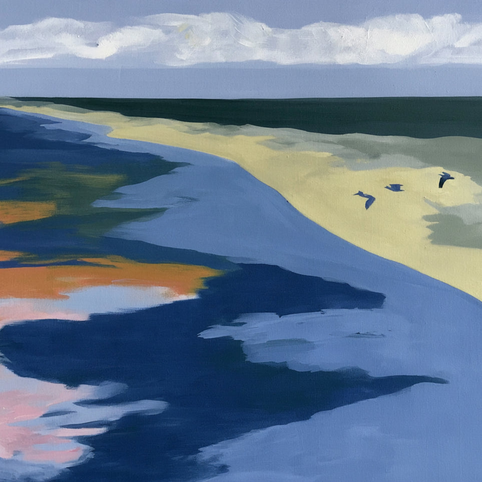 Birds over the pale shore