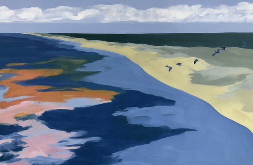 Birds over the pale shore